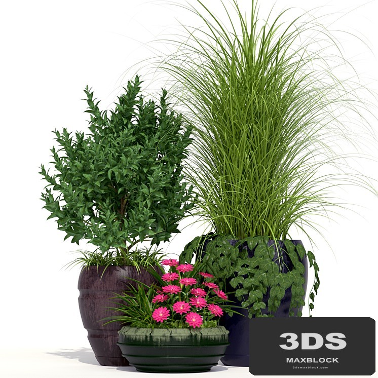 Outdoor Planters