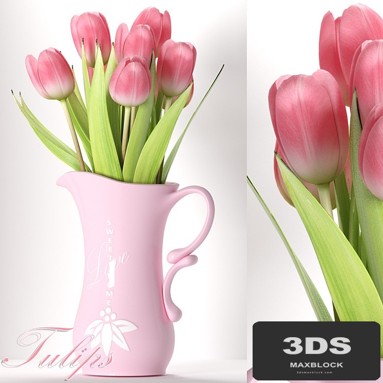TULIP 8