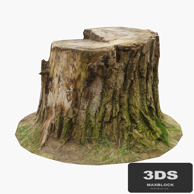 Stump