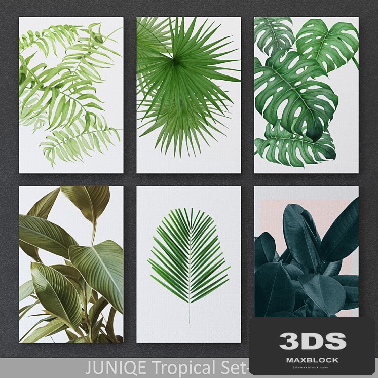 Tropical Set-02 Framed