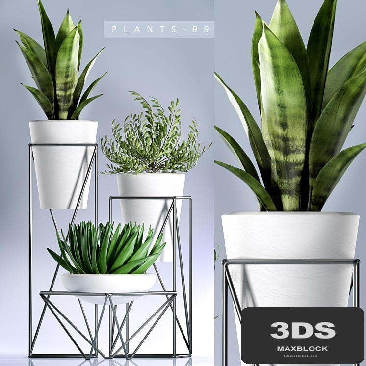 PLANTS 99