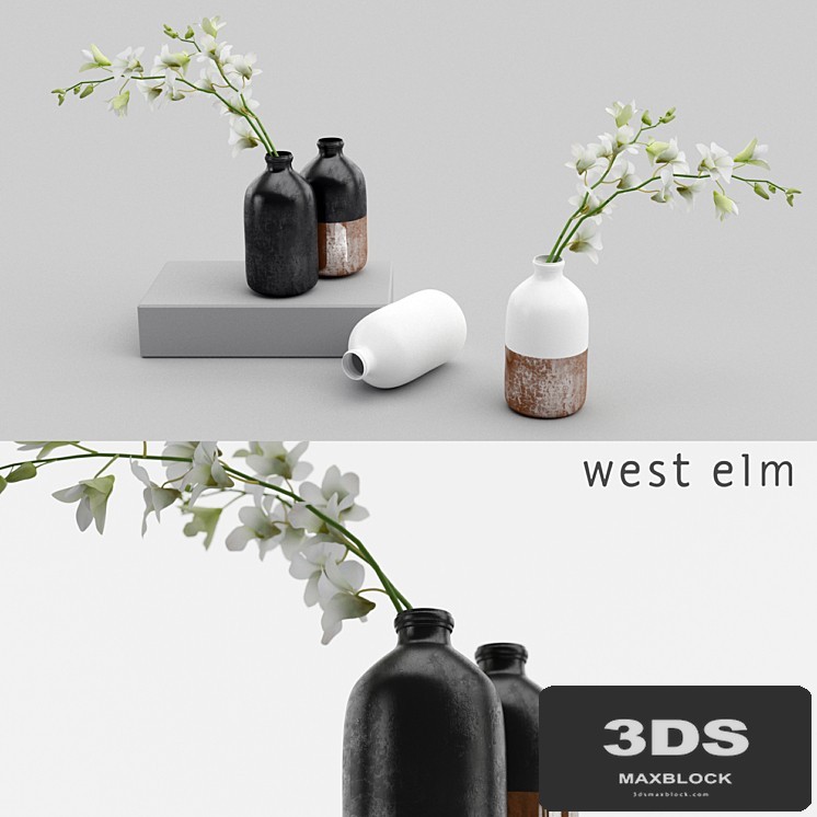 Westelm vases with Orchids