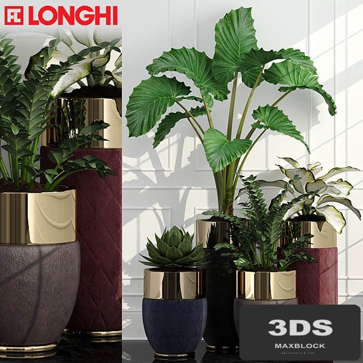 Longhi Godwin