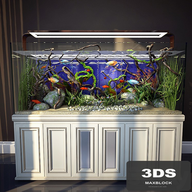 Aquarium 3