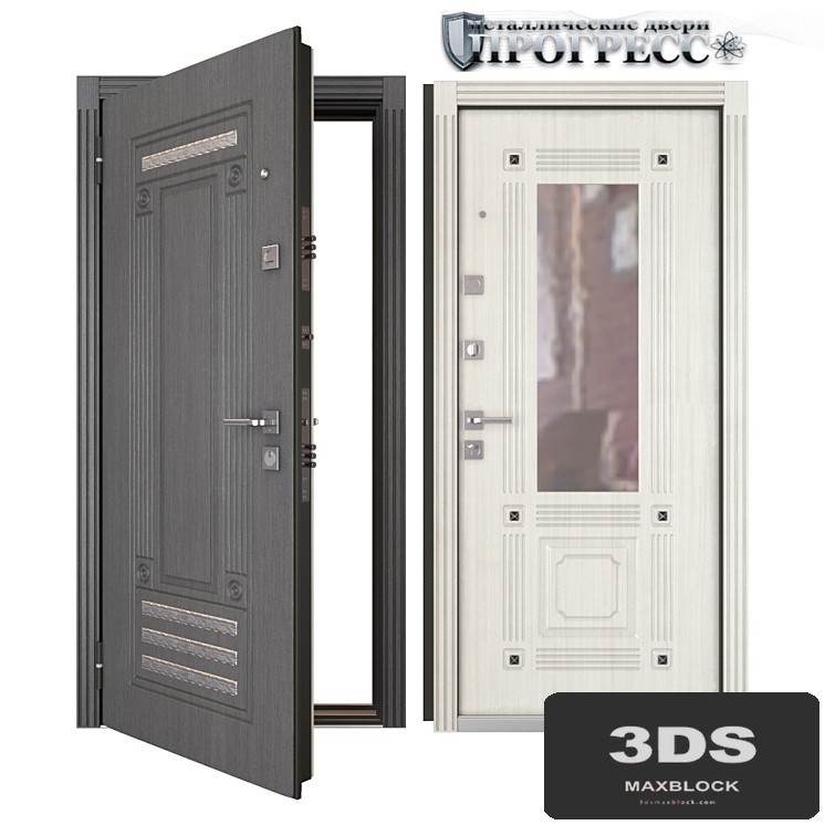 Entrance metal door Progress (Valencia)
