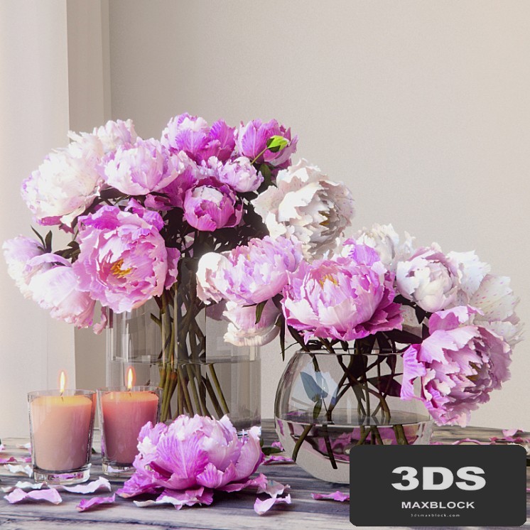 Peonies