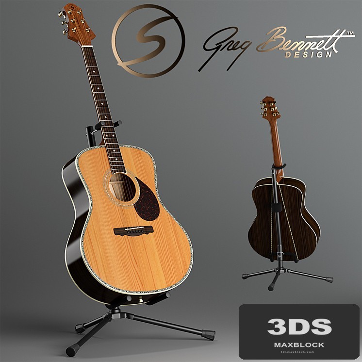 Acoustic guitar Samick Greg Bennet design J-8 and rack