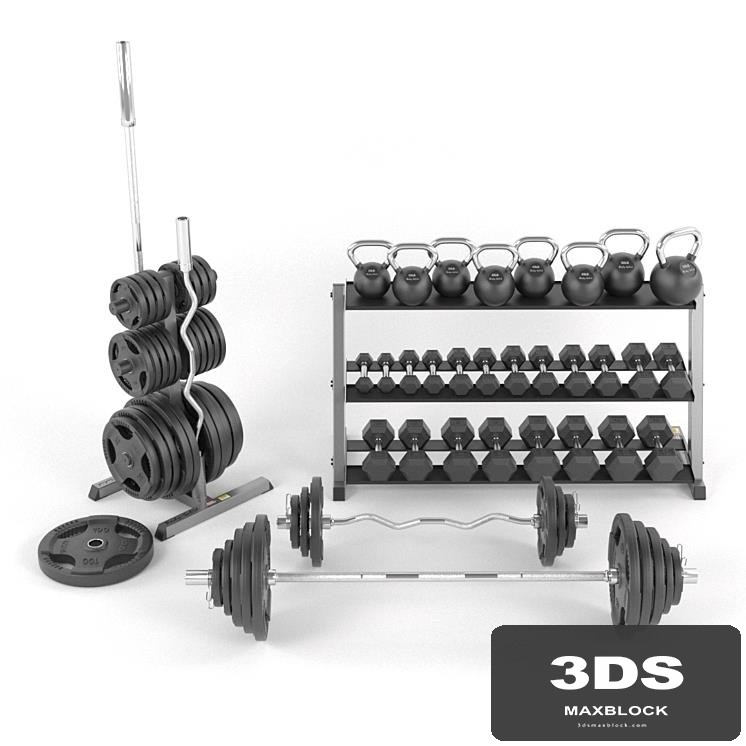 A set of weights for the gym from BodySolid