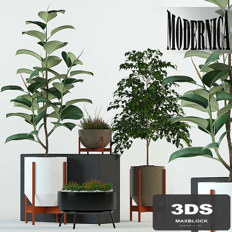 Plants collection 78 Modernica pots
