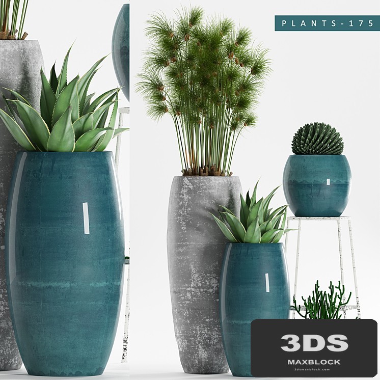 PLANTS 175