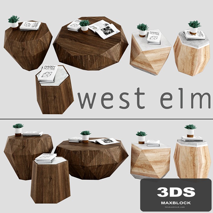 Tables West elm 4