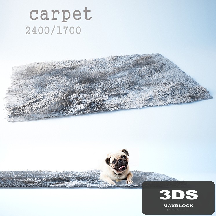 Carpet