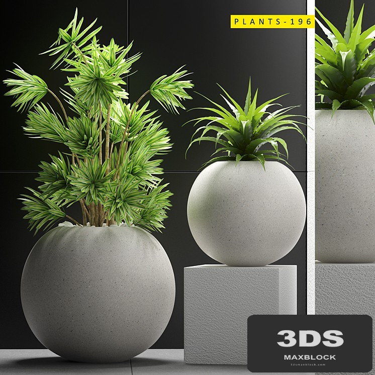 PLANTS 196