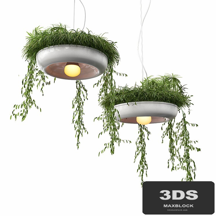 Chandelier with plants