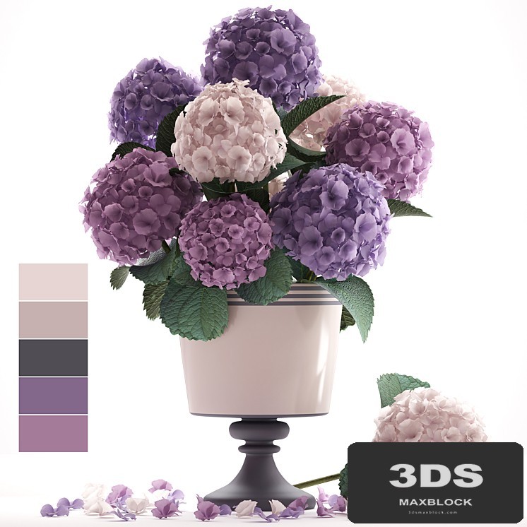 Collection of flowers 55. Hydrangea, blue flowers, flower, vase, branch