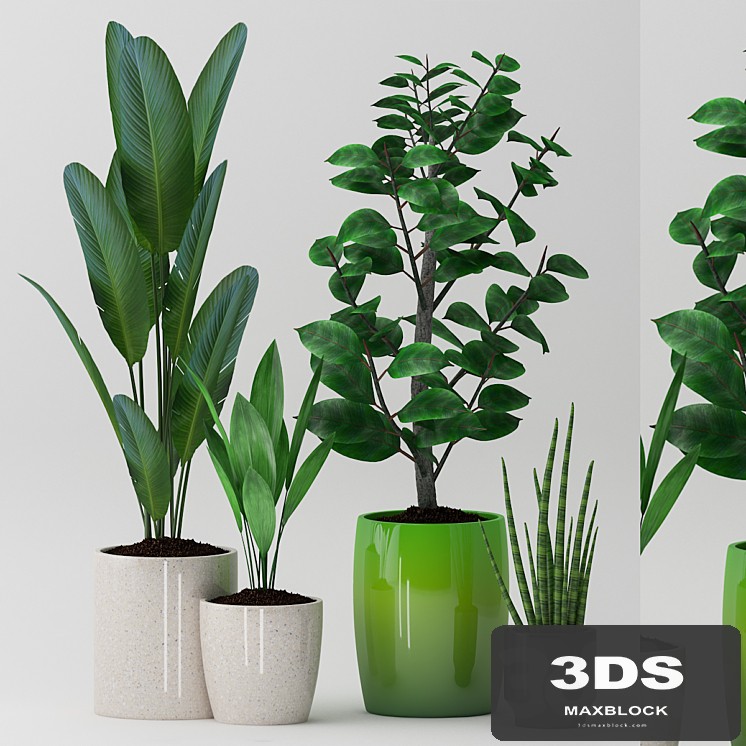 Plant 83