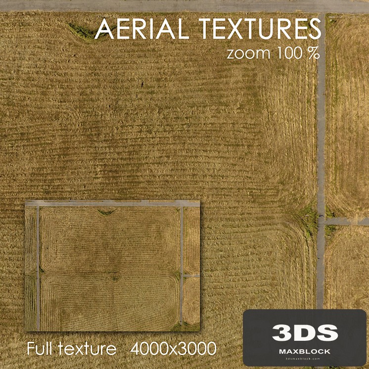 Field with grass 60