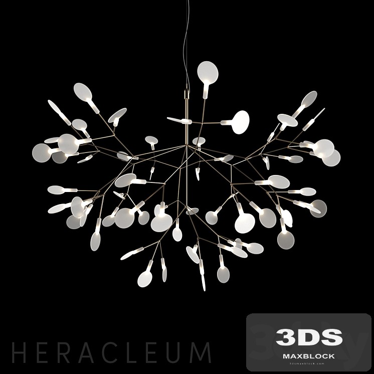 Chandelier Moooi Heracleum II