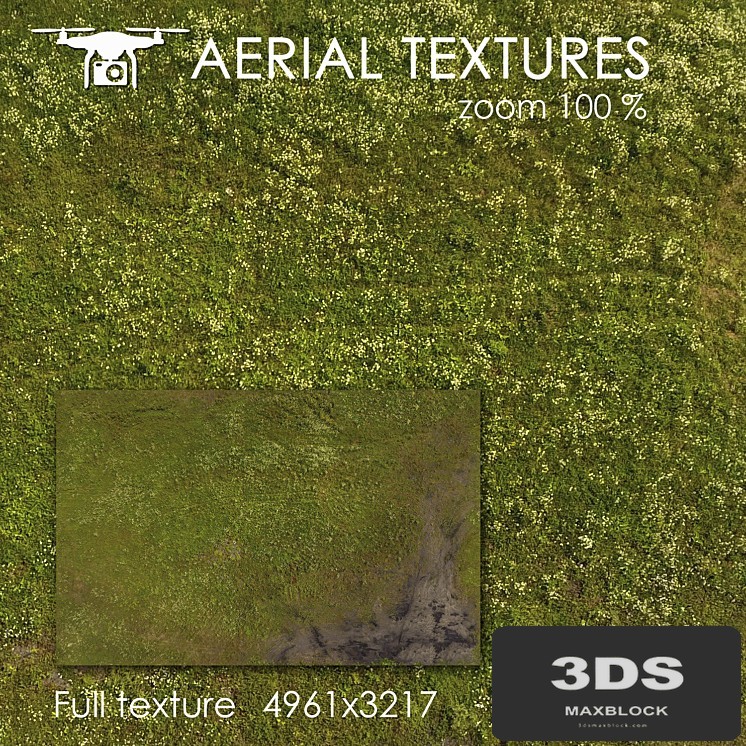 Field 101