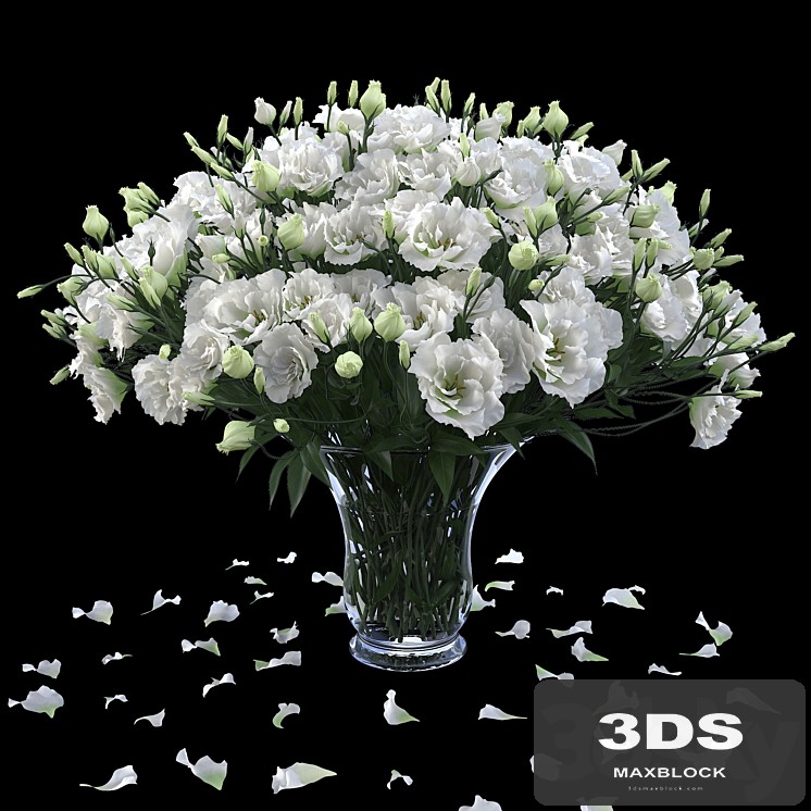 Eustoma 2
