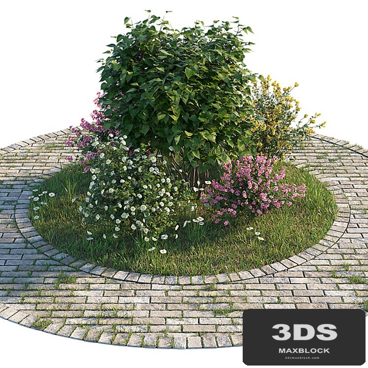 Flowerbed with bushes and grass