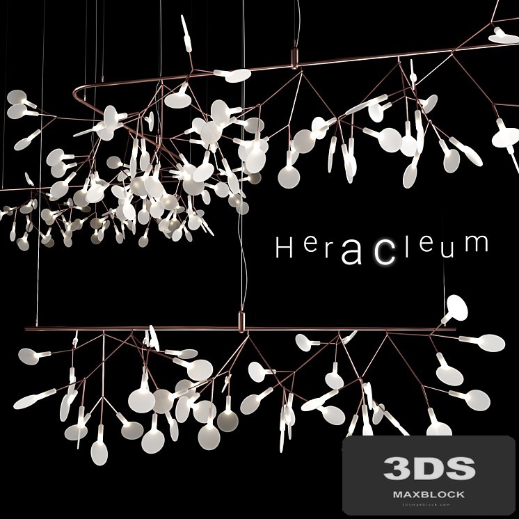 Chandelier Moooi Heracleum Endless COPPER