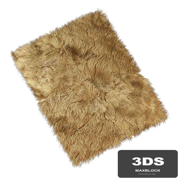 Carpet with long pile