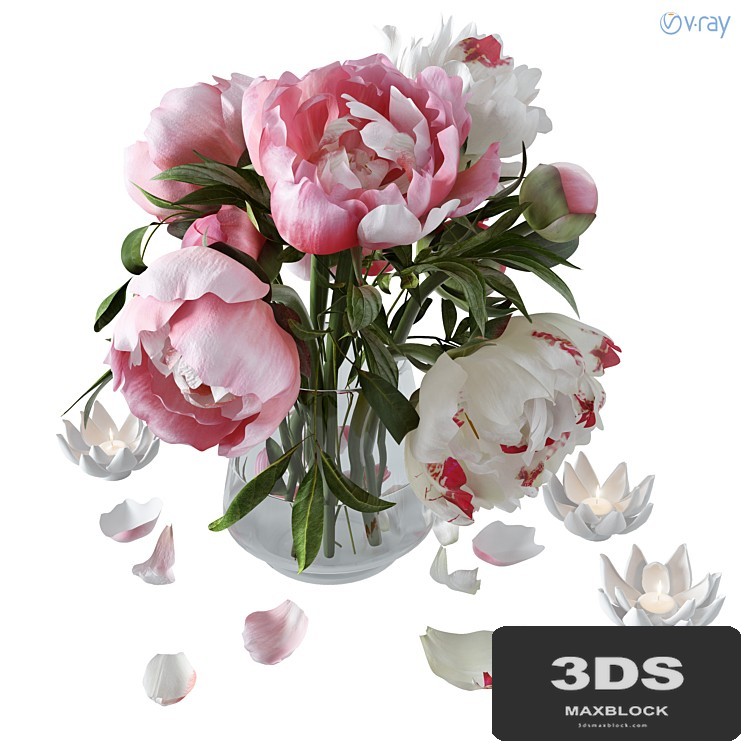 Peonies
