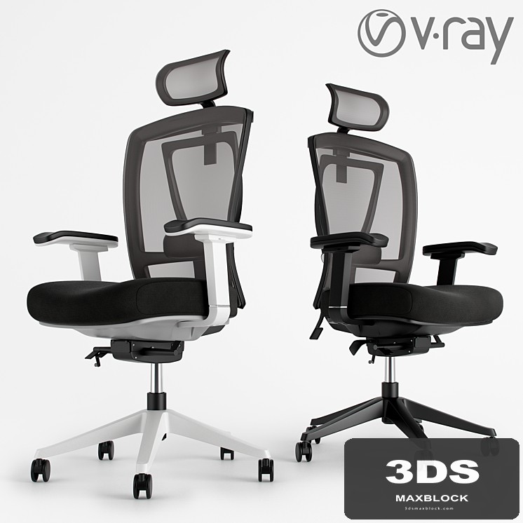 Ergo Office Chair