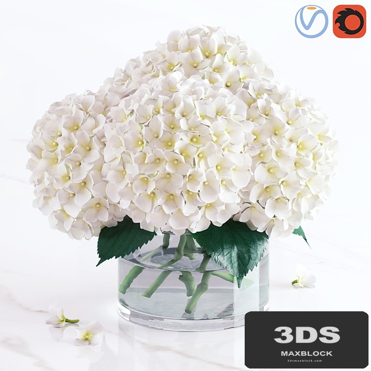 White hydrangea bouquet