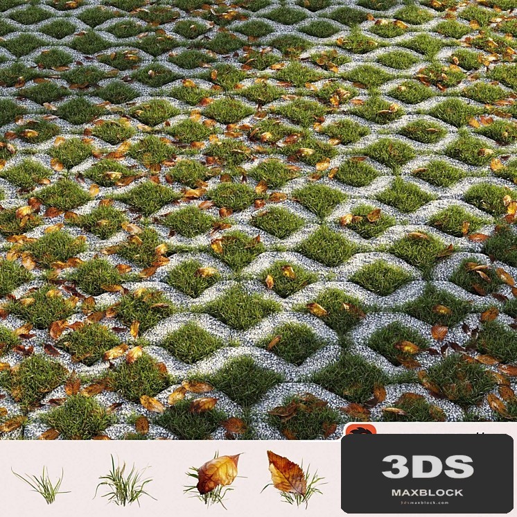 Grass in the square brick