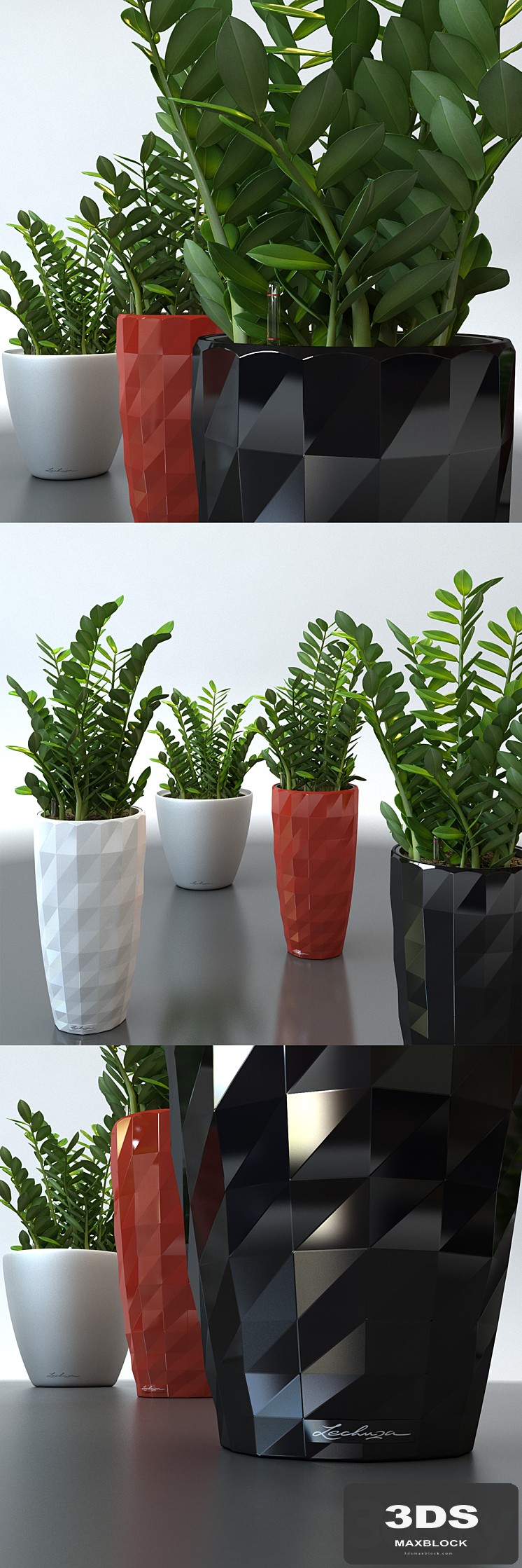 Zameokulkas in pots Lechuza