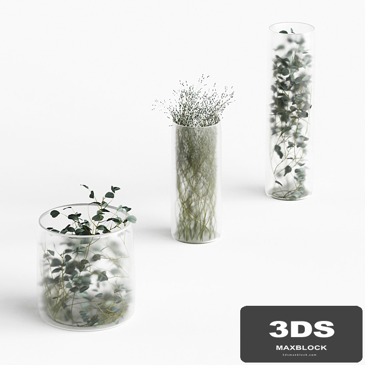 Plants in frosted vases