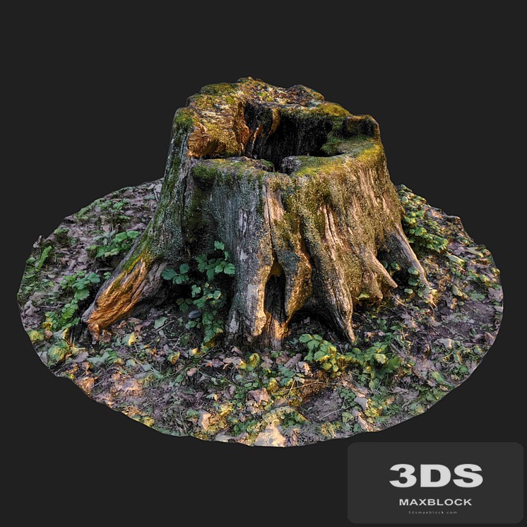 Stump
