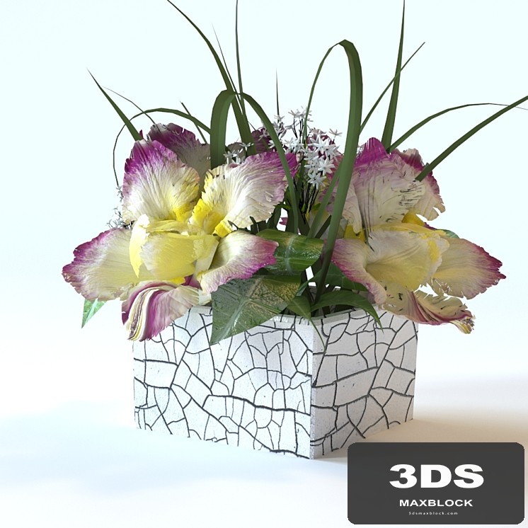 flowers in a square vase
