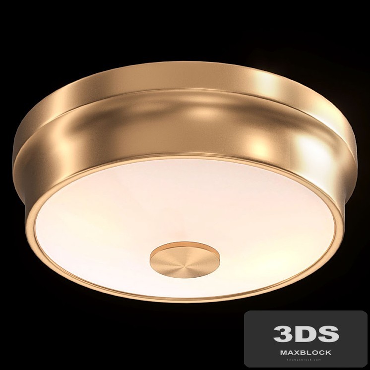 Ceiling Light Favorite Pannikin