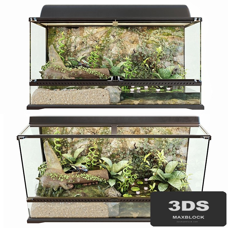 Terrarium