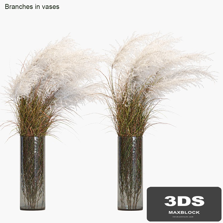 Branches in vases # 21