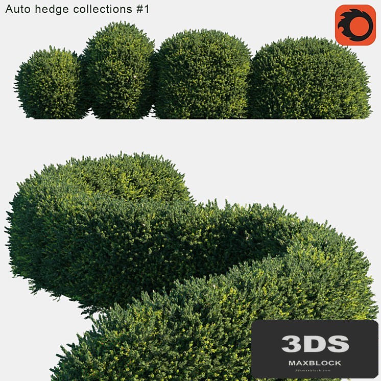 Auto hedge collections # 1