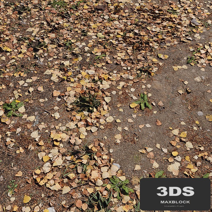Leaf_Earth 3