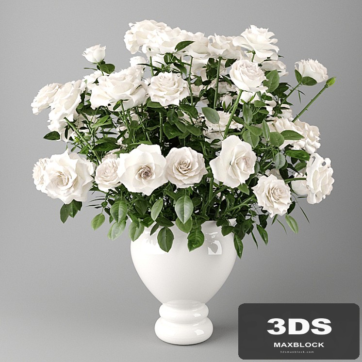 White roses in a white vase | Bouquet of white roses in a white vase