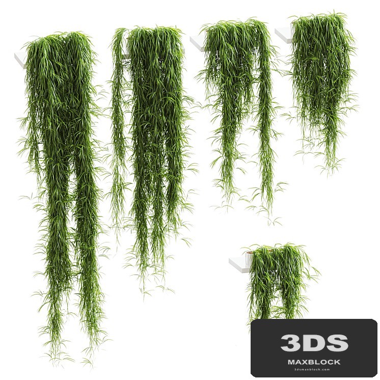 Hanging plants for shelves. 5 models. set 1