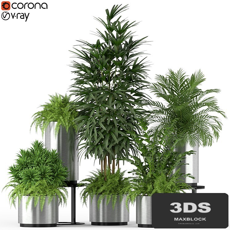Plants collection 206