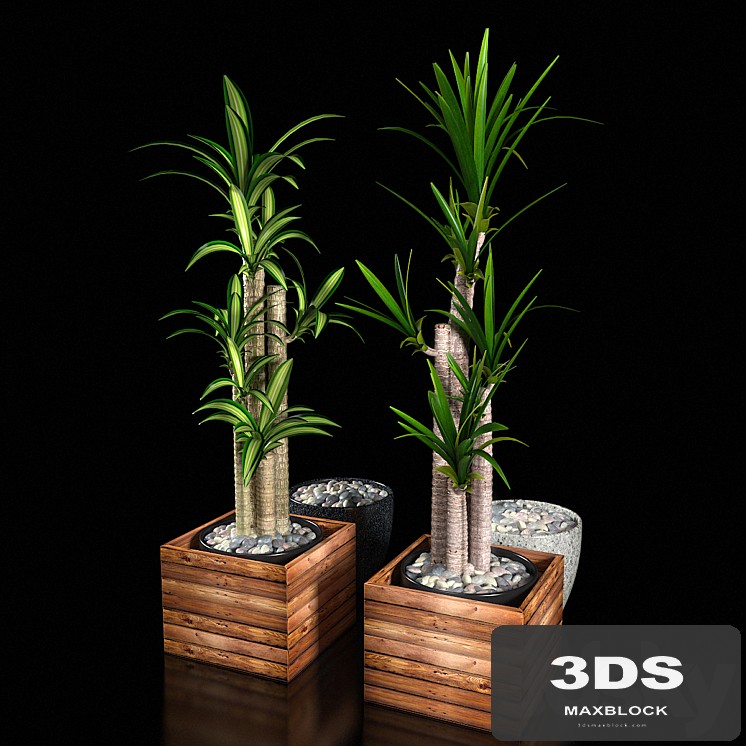 PLANTS VOL 1