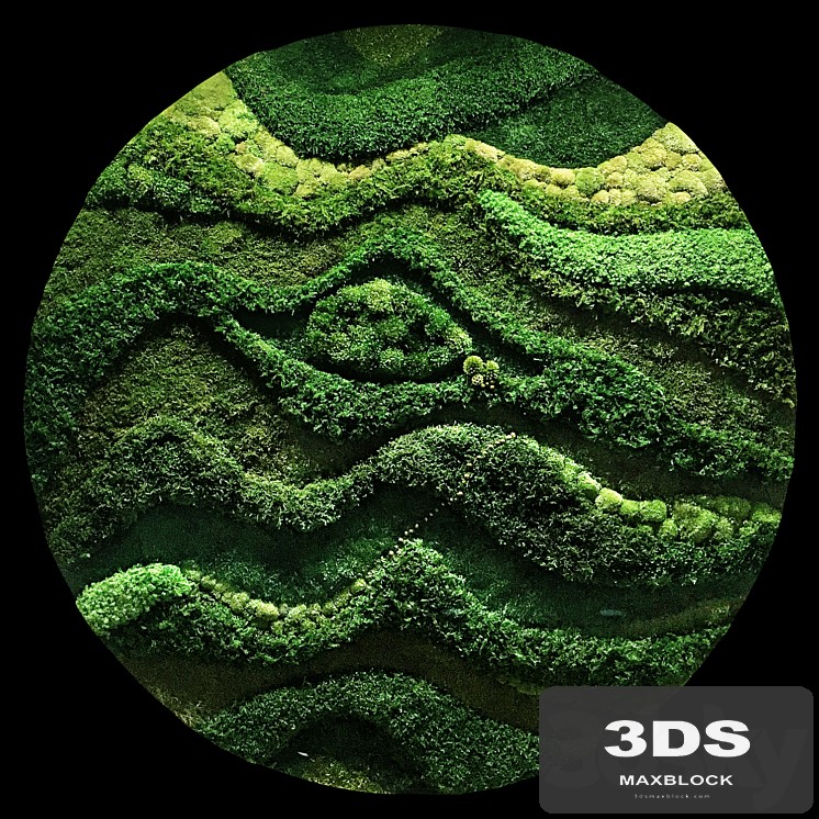 Moss wall