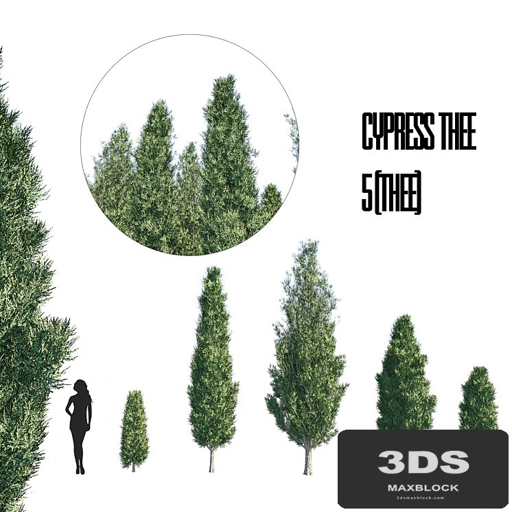 cypress thee set 1