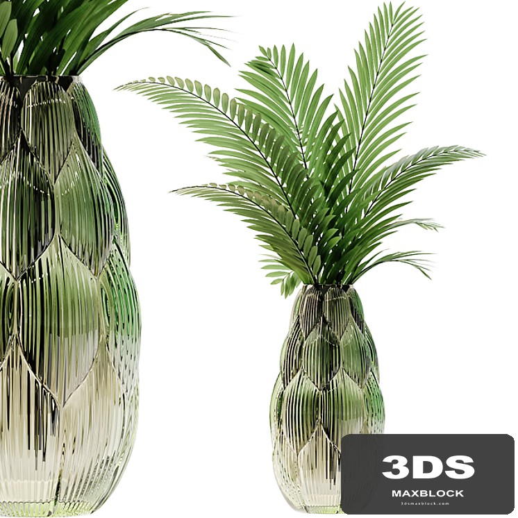 Exotic glass vase with Howea plants