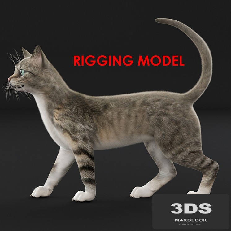 Cat (Riga)
