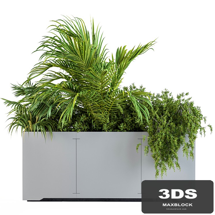 Gray Plants Box with Tropical plant