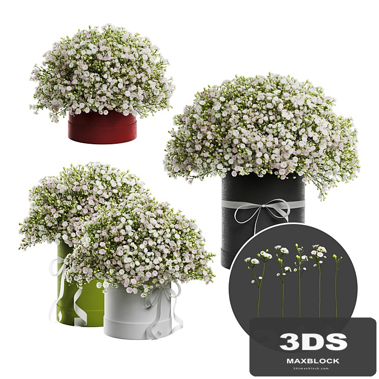 Gypsophila bouquet in a hat box